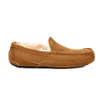 UGG Mens Ascot Chestnut