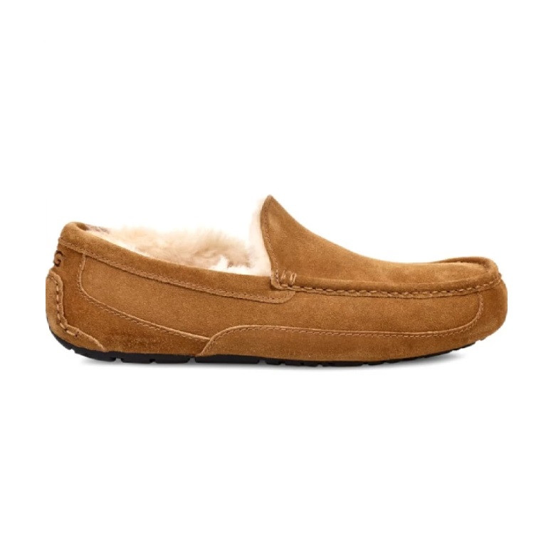 UGG Mens Ascot Chestnut