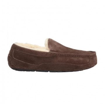 UGG Mens Ascot Chocolate